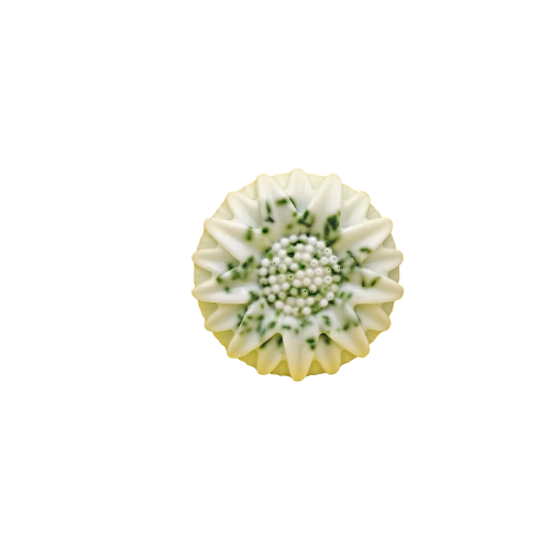Native Cucumber Sunflower Soap Bar